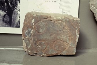 Copy of colour slide showing detail of stones in Whithorn Priory museum-
Insc: " Stones from St. Ninian's Cave, Physgill,  Whithorn Museum C6"
NMRS Survey of Private Collection 
Digital Image Only
