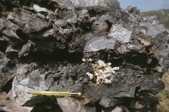 Copy of colour slide showing detail of vitrification; Meall an Iarnuinn, Inverpolly, Highland;
Vitrified mass: detail of horizontal timber casts
NMRS Survey of Private Collection 
Digital Image Only