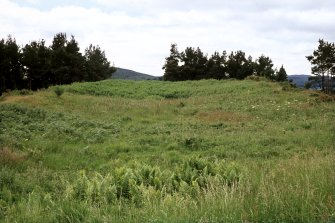 Copy of colour slide showing general view of summit of fort on Craig Phadrig,Inverness;
NMRS Survey of Private Collection 
Digital Image Only