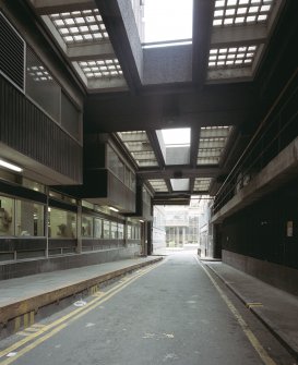 View of lane from East.
Digital image of C 5089 CN.