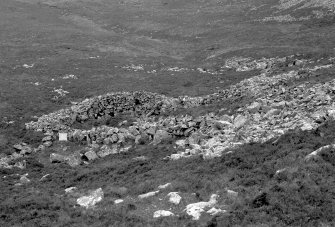 Copy of black and white photograph showing the Deer Trap at Orval with Mr S.P.Halliday as scale.