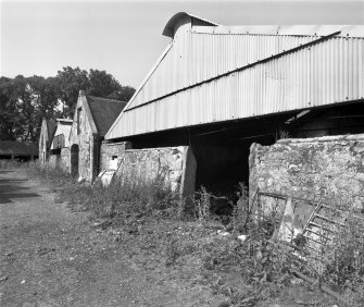 View from E of S end of cattle courts (NC 9571 1074) and straw barn (NC 9570 1074).
See MS/744/117 and DC33078, items 13, 8.
Digital image of C 48451