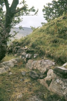 Copy of colour slide showing detail of vitrified fort at Dun Lagaidh nr Ullapool, Highland- outer wall face of T.L. fort  at west end
NMRS Survey of Private Collection
Digital Image only