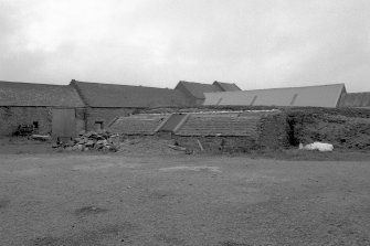 Scar Steading: View of pig houses from E.
Digital image of D 3360.