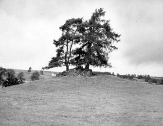 General view of cairn (PER 5).