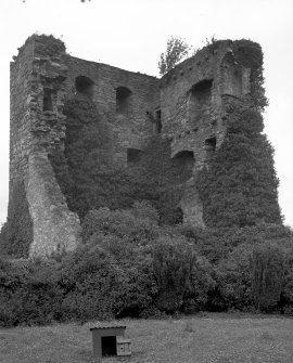 Drumin Castle. General view from SE.