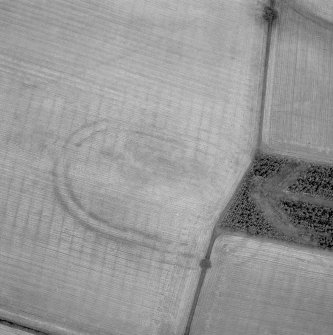 Oblique aerial view showing the cropmarks of Courthill fort.