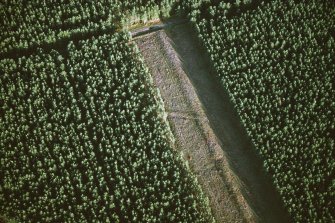 Oblique aerial view centred on the remains of the cursus.