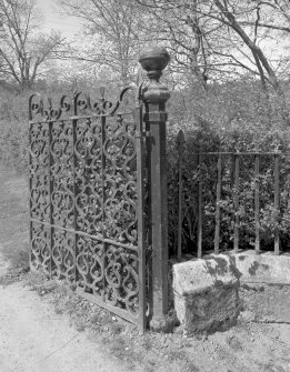 Wrought-iron gate and railings, detail
Digital image of D/31684