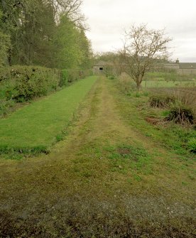 W pathway, view from SW
Digital image of D/31691/cn