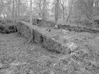 Remains of sawmill, view from North East
Digital image of D/31650