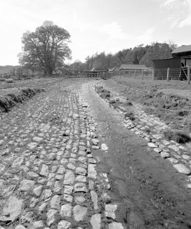 View of cobbled stream bed from East
Digital image of D/31729