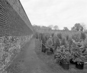 Gardens and wall, view from South East
Digital image of D/12681