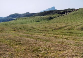 View of lazy beds from SE.