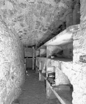 Interior, view of lower ground floor vaulted wine cellar under entrance court
Digital image of E 30953.