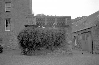 View from south of stables and dovecot
Digital image of F 9714.