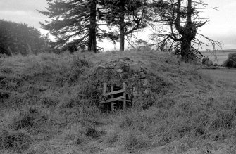 Bamff House, Ice House.
General view.