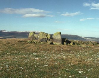 Ardlair, view from the SSE of recumbent stone circle.
