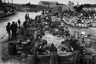 View of women gutting herrings, Peterhead harbour.