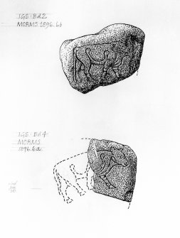 Drawing of Burghead bull stones no 2 and no 4