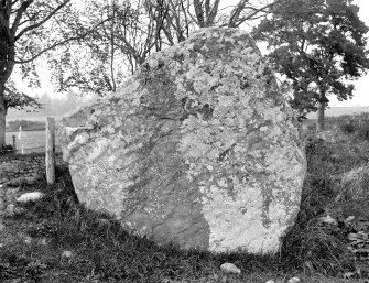 View of symbol stone.
