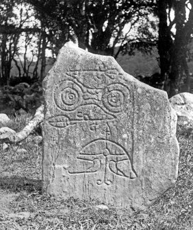 View of symbol stone.
Reproduced in Allen and Anderson 1903, Early Christian Monuments of Scotland, fig.99.
