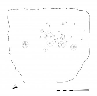 Scale drawing of cup-and-ring marked stone.