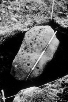 View of cup-marked stone.
Copy of black and white slide.