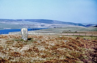 Copy of colour slide, Stone setting - The Chapel Stone, Penshiel Grange in background
NMRS Survey of Private Collection 
Digital Image Only
