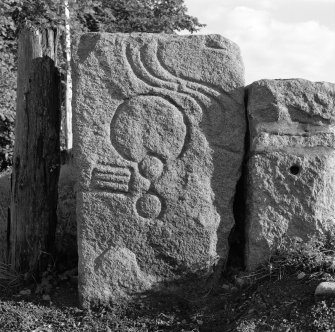 Drummies, Pictish symbol stone. View from N.