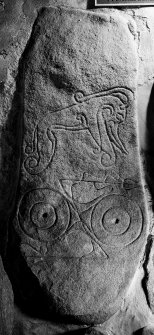 Scanned image of Dyce, Saint Fergus' Church, Pictish symbol stone. General view.