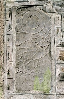 Pictish symbol stone, Fyvie no.2, built into wall of church.
Digital copy of E 56719 CN.