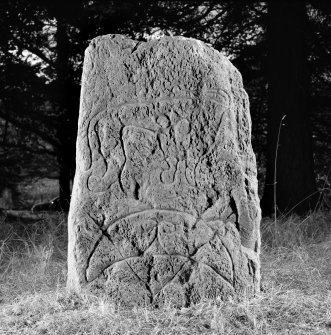 Scanned image of Logie Elphinstone (no. 3), Pictish symbol stone. View of front face, dated 14 November 1995.