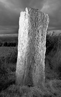 Digital image of view of symbol stone