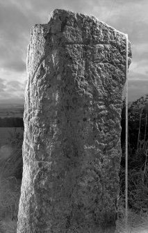 Digital image of view of symbol stone.