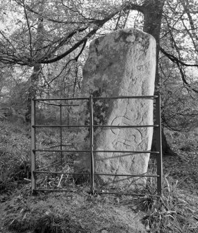 View of reverse of Thornton Pictish cross slab, Hunters Hill.