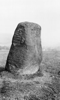 Digital copy of photograph of general view of symbol stone.