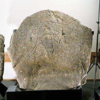 Tillytarmont no.4, the 'Eagle' stone, in Marischal Museum, Aberdeen.
