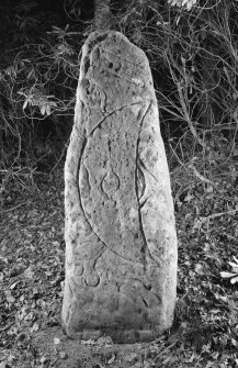 View of Pictish symbol stone.