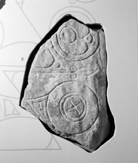 View of Torgorm Pictish symbol stone fragment on display in Inverness Museum.