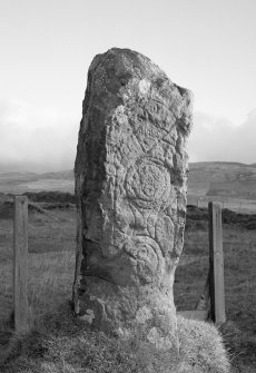 View of Clach Ard Pictish symbol stone, Tote, Skye.