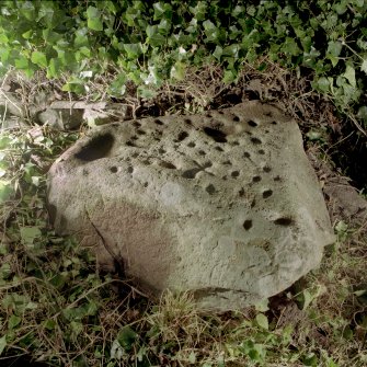 View of cup-marked stone.