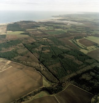 Oblique aerial view centred on Binning Wood, taken from the W.