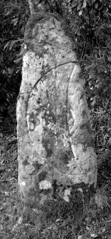 View of symbol stone.
Digital copy of SU 297.