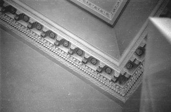 Interior.
Detail of cornice.