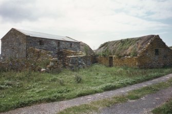 View of 2 barns, one with corrugated iron roof, one with thatched roof.