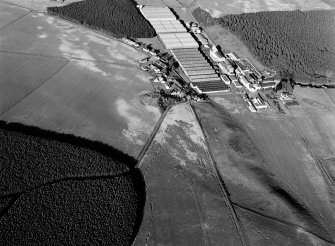 Oblique aerial view centred on the remains of the earthwork,  cropmarks of a rectilinear enclosure and pits at Thomshill with the Glenlossie distillery adjacent, looking to the ENE.