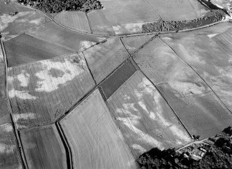Oblique aerial view centred on the cropmarks of the enclosure at Rait Castle, looking to the ENE.