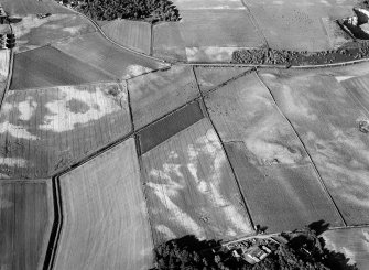 Oblique aerial view centred on the cropmarks of the enclosure at Rait Castle, looking to the NNE.