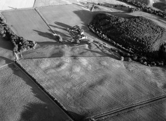 Oblique aerial view centred on the cropmarks of a possible ring ditch with Edzell Castle and gardens adjacent, looking to the S.